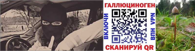 купить наркотики сайты  дарк нет формула  Псилоцибиновые грибы GOLDEN TEACHER  Чкаловск 