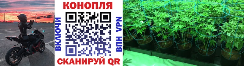 Шишки марихуана OG Kush продажа наркотиков Чкаловск